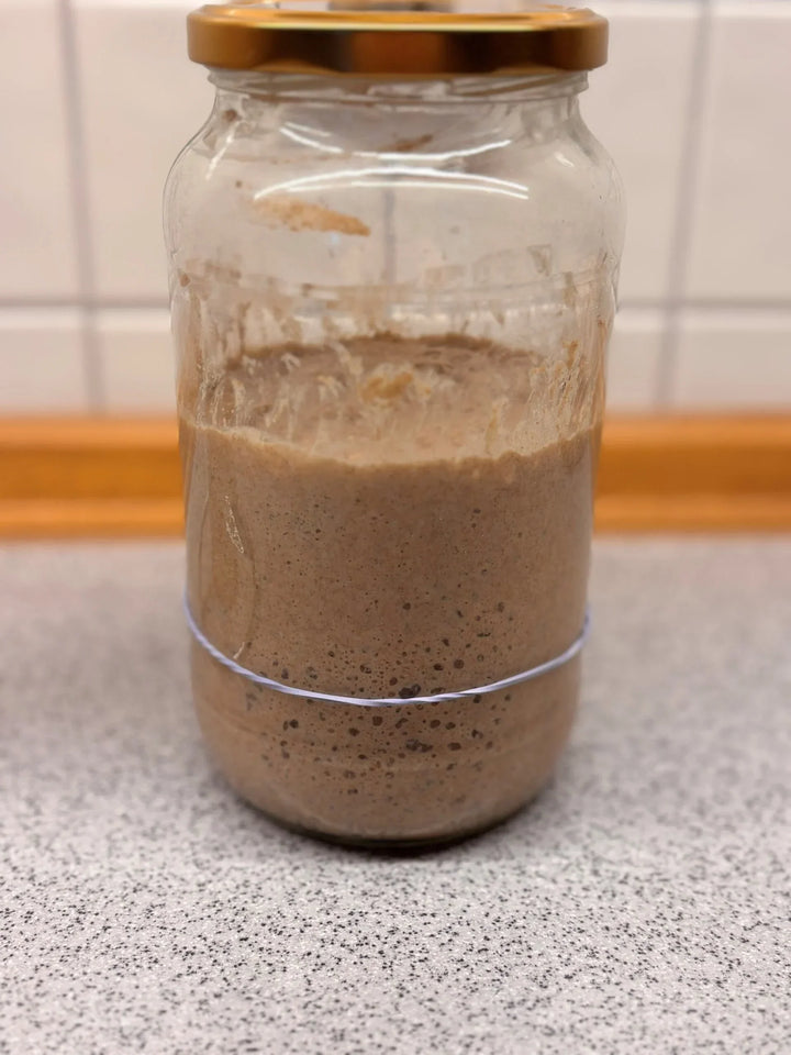 Sauerteig füttern (Waldstaudenroggen)