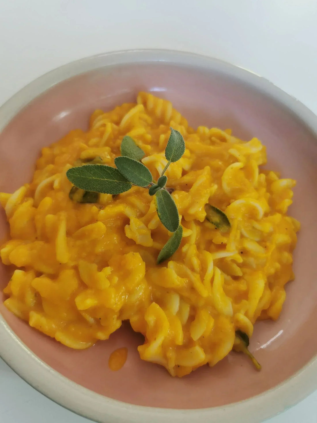 Pasta mit Kürbissoße