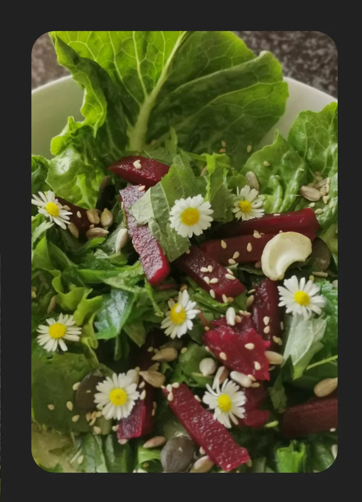 Wildkräutersalat