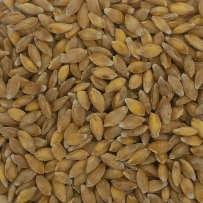 Einkorn Nah neu
