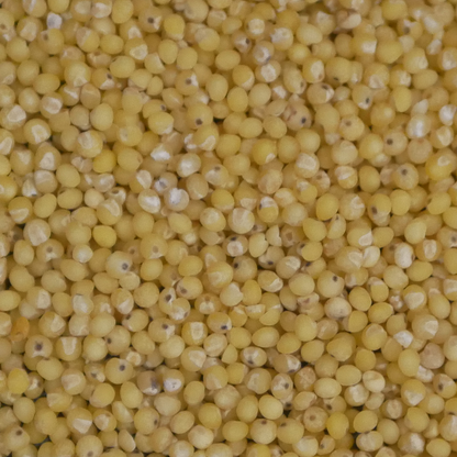 Goldhirse
