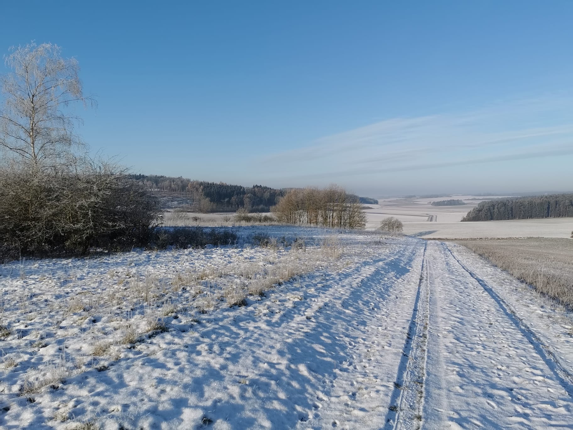 Winterlandschaft