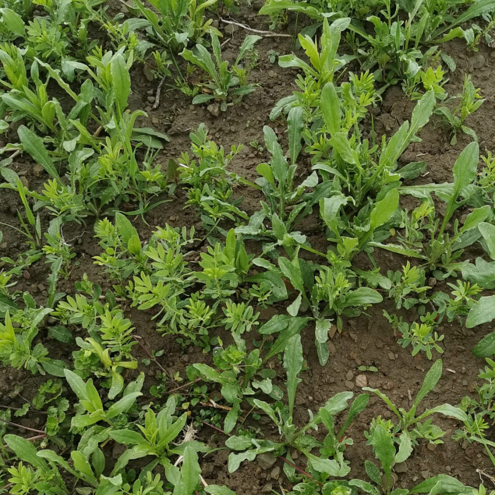 produktbild-2